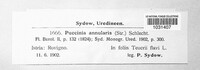 Image Associated With the Occurrence